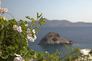 Eirini Luxury Villa Gríkosz