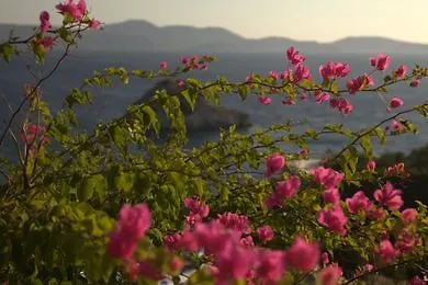 Eirini Luxury Gríkosz